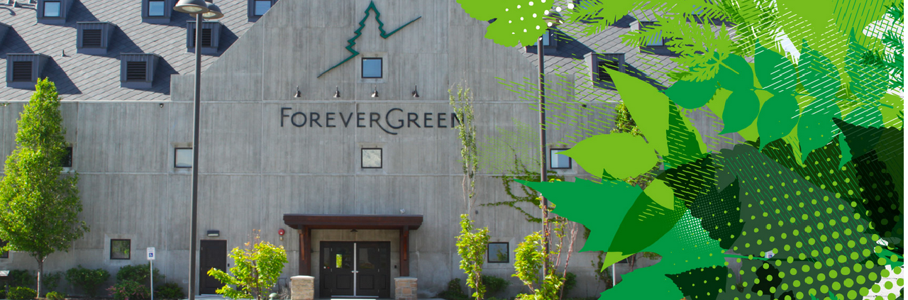 forevergreen fejléc